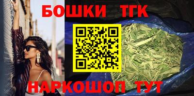 индика Гусь-Хрустальный