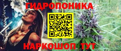 таблы Гусев