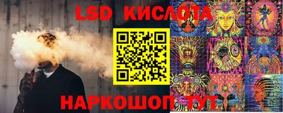 индика Гусь-Хрустальный