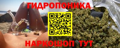 индика Гусь-Хрустальный